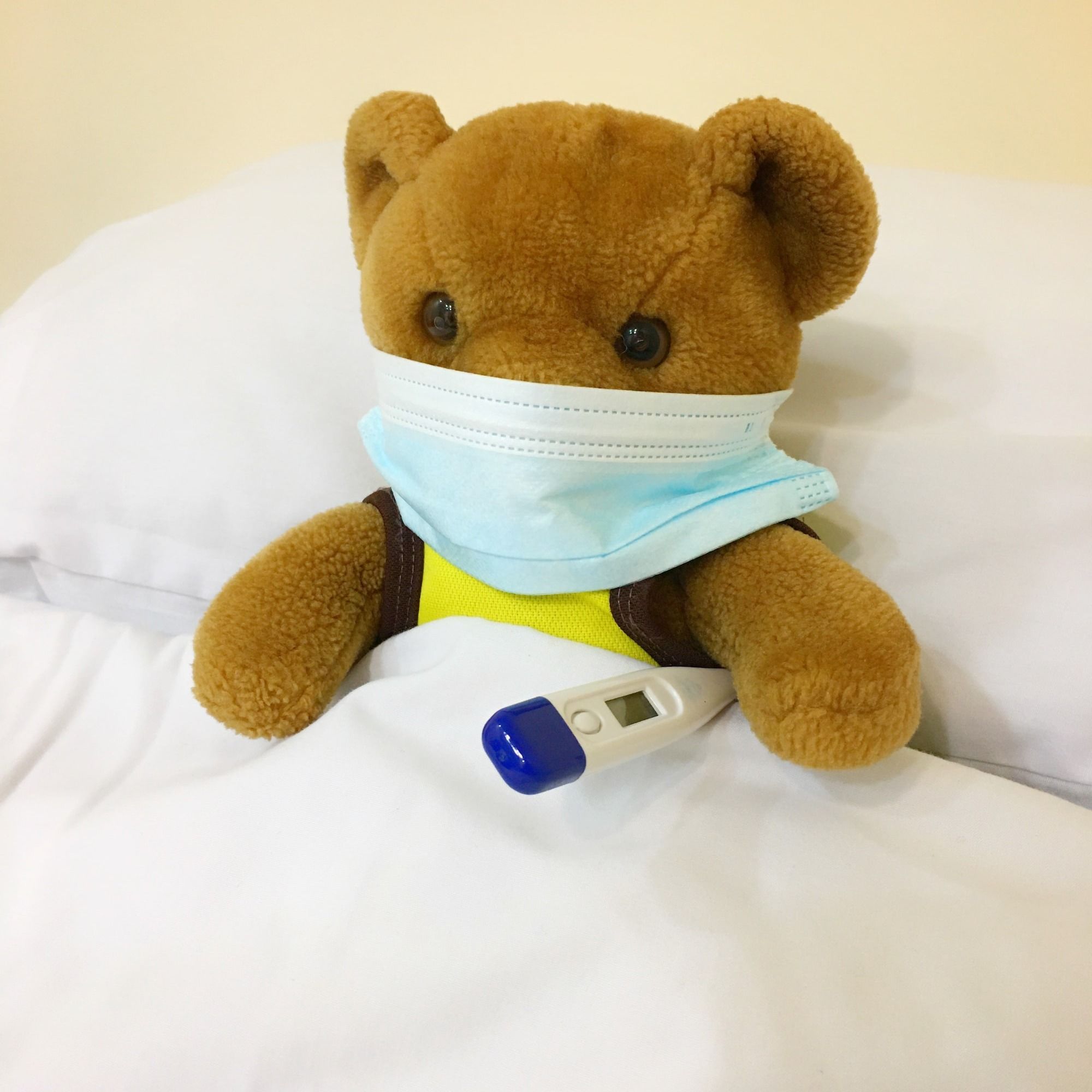 brown bear plush toy on white textile
