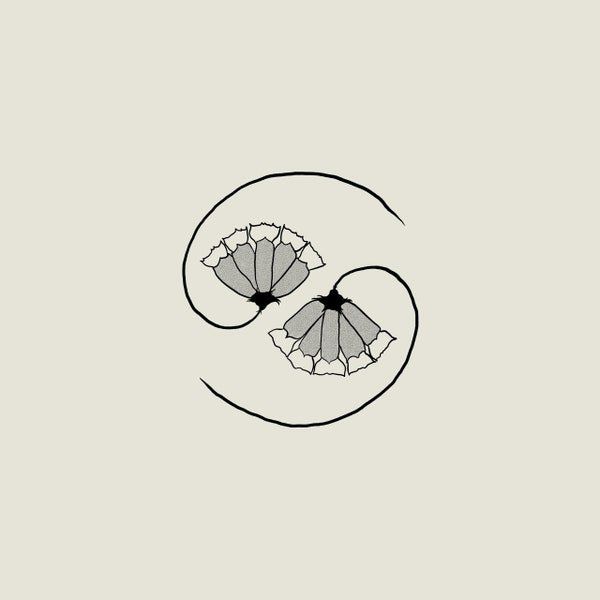 #7. Godspeed you Black Emperor - G_ds Pee AT STATES END - I don’t really know much about this band, all the reviews said ‘Canadian’, ‘swirling’ and ‘menacing’, and this album didn’t disappoint. It’s a concept piece, strung together with samples from short wave radio and massive strings, as well as lacerating guitar riffs and military precision drums. It feels by hopeful and dystopian at the same time - almost spot on for 2021. Bandcamp / Web