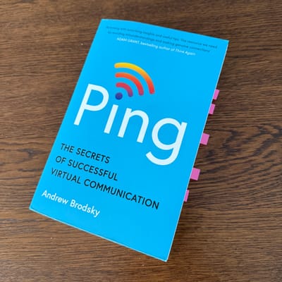 Book: PING by Andrew Brodsky