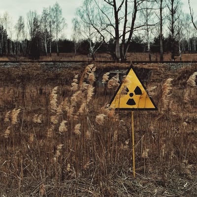 TWIL #99 - Black Fungus